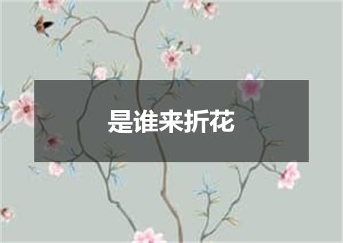 是谁来折花