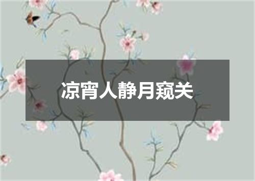 凉宵人静月窥关