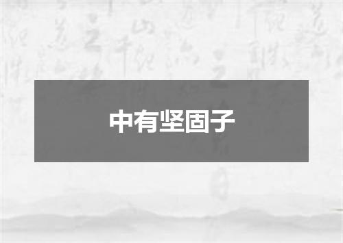 中有坚固子