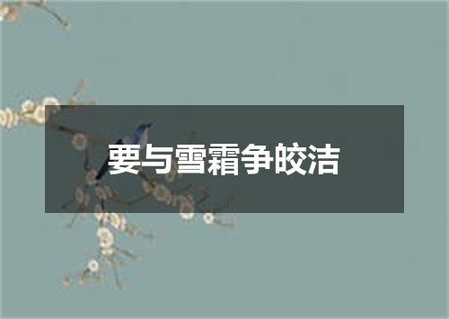 要与雪霜争皎洁