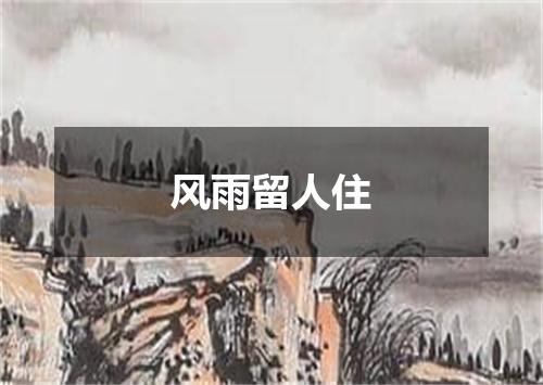 风雨留人住