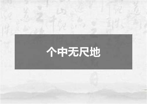 个中无尺地
