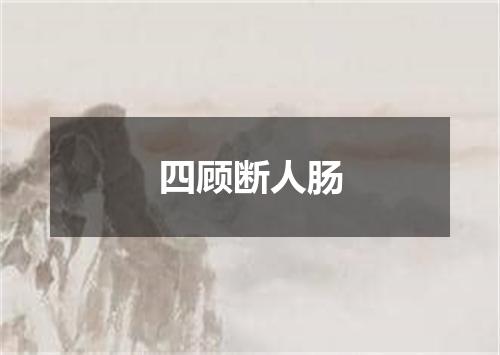 四顾断人肠