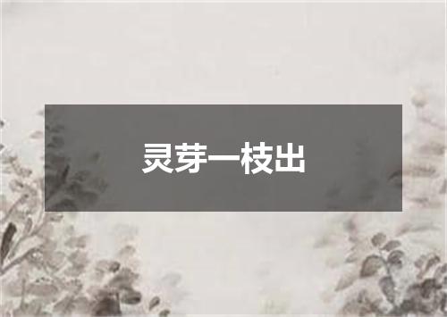 灵芽一枝出