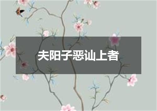 夫阳子恶讪上者