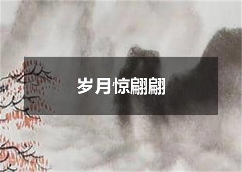 岁月惊翩翩