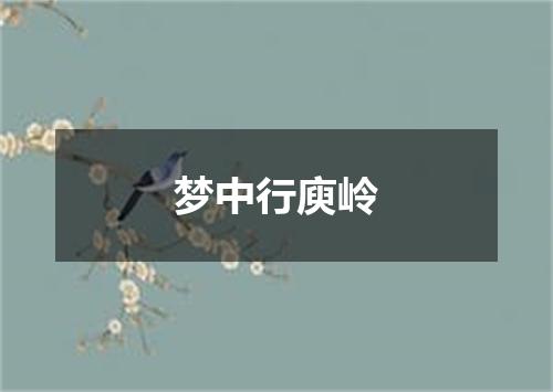 梦中行庾岭