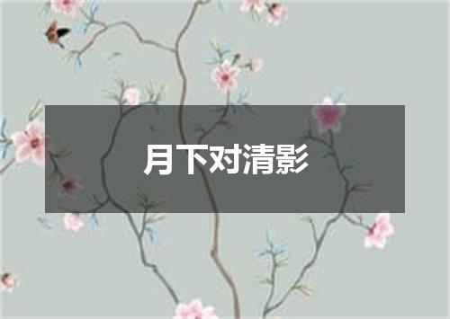 月下对清影