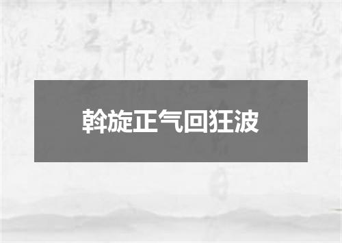 斡旋正气回狂波