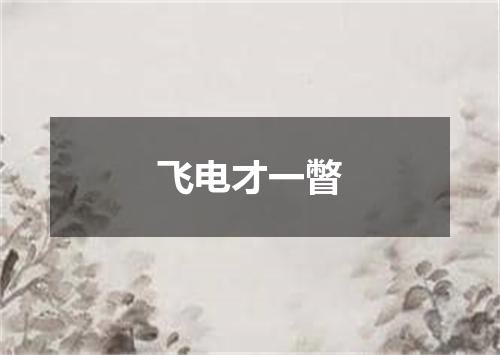 飞电才一瞥