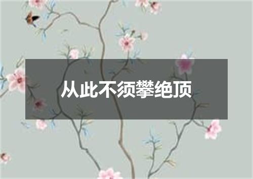 从此不须攀绝顶