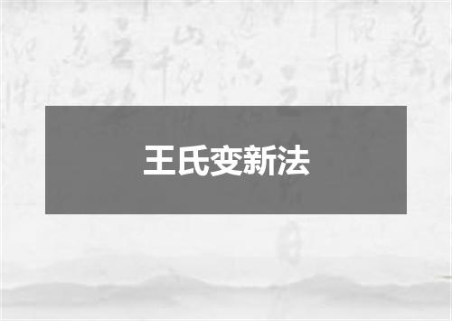 王氏变新法