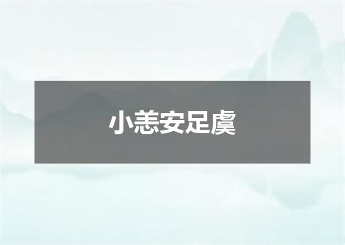 小恙安足虞