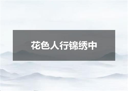花色人行锦绣中