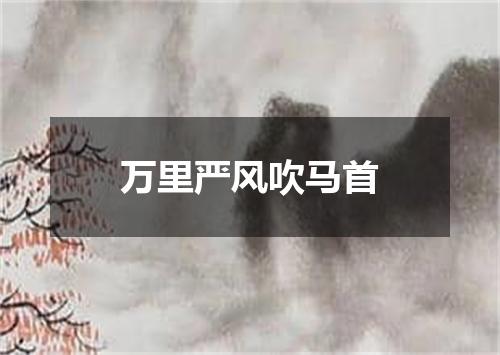 万里严风吹马首