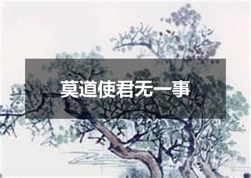 莫道使君无一事
