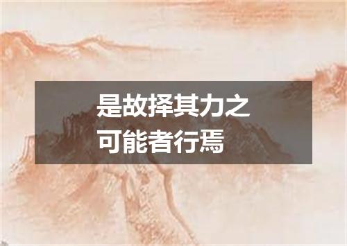 是故择其力之可能者行焉