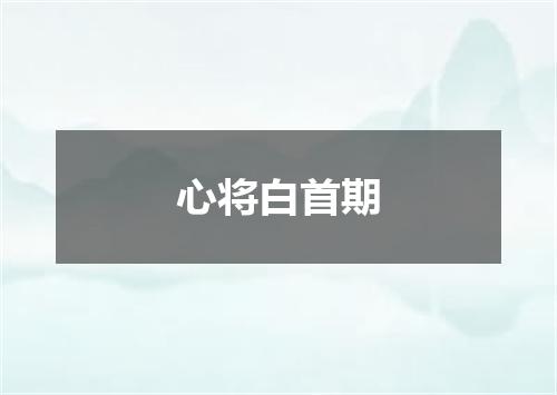 心将白首期
