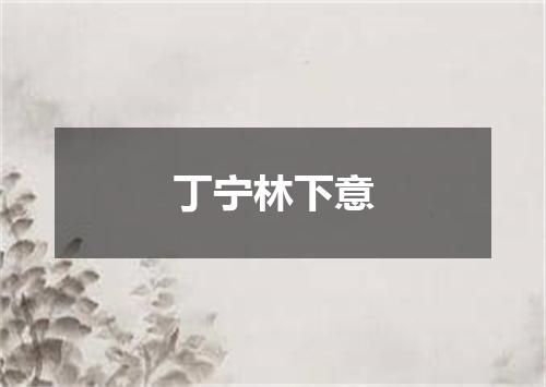 丁宁林下意