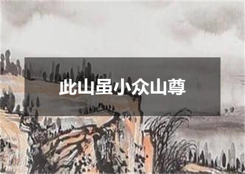 此山虽小众山尊