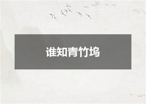 谁知青竹坞