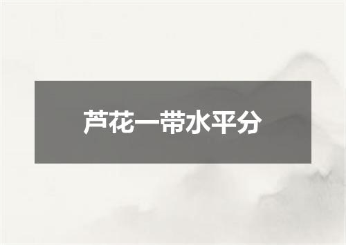 芦花一带水平分