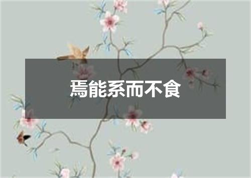 焉能系而不食