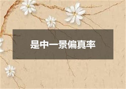 是中一景偏真率