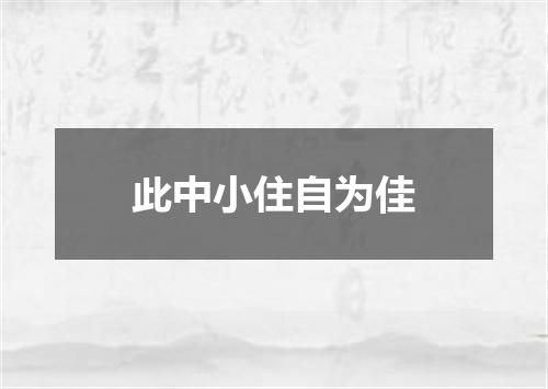 此中小住自为佳