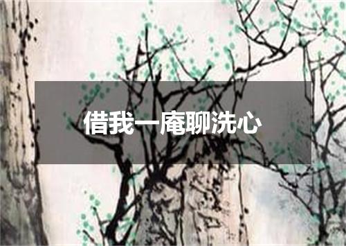 借我一庵聊洗心
