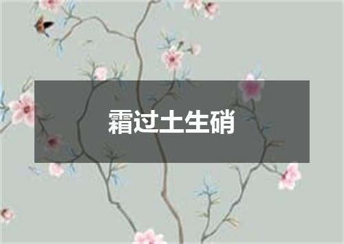 霜过土生硝