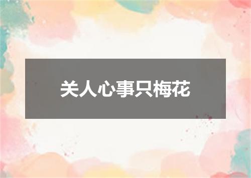 关人心事只梅花