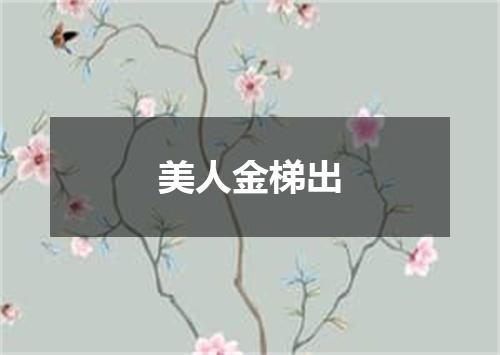 美人金梯出
