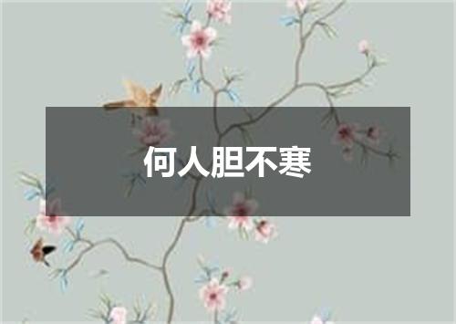 何人胆不寒