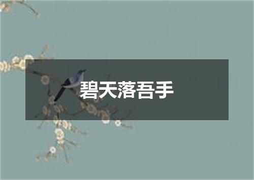 碧天落吾手