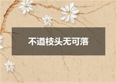 不道枝头无可落