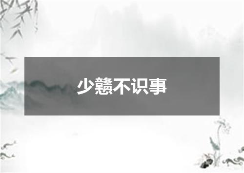 少戆不识事