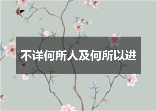 不详何所人及何所以进