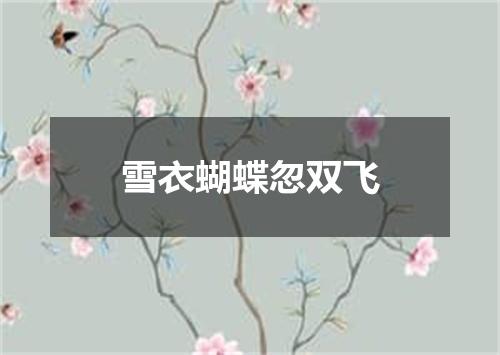 雪衣蝴蝶忽双飞