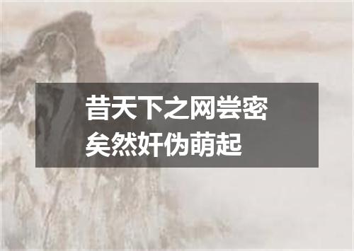 昔天下之网尝密矣然奸伪萌起
