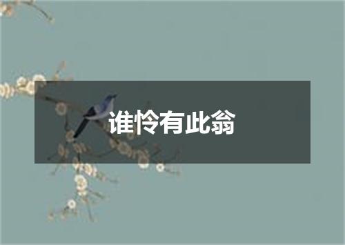 谁怜有此翁