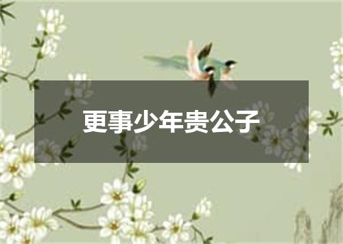 更事少年贵公子