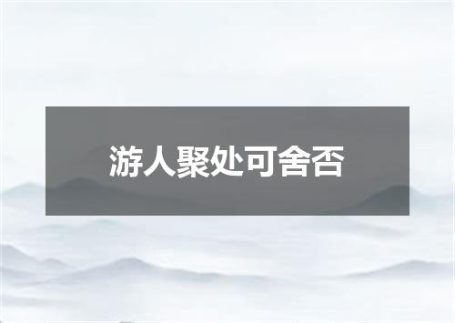 游人聚处可舍否