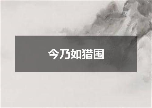 今乃如猎围