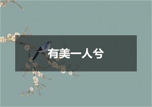 有美一人兮