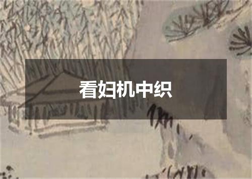 看妇机中织