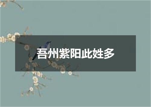 吾州紫阳此姓多