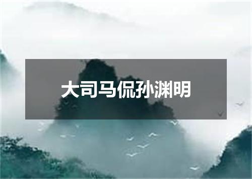 大司马侃孙渊明