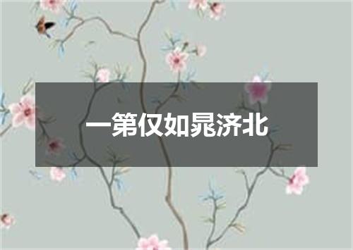 一第仅如晁济北