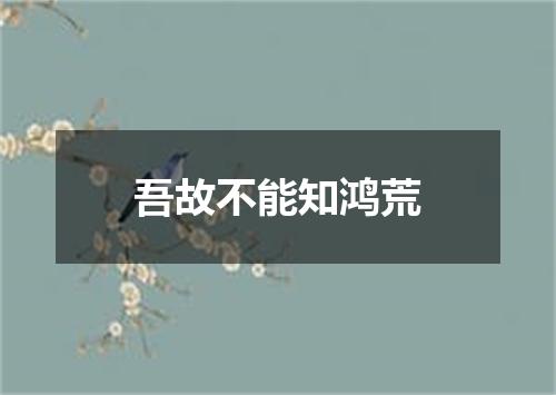 吾故不能知鸿荒